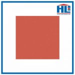 gach-cotto-30-ha-long